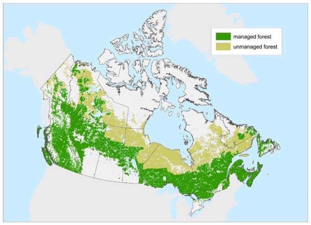 map of Canada forests