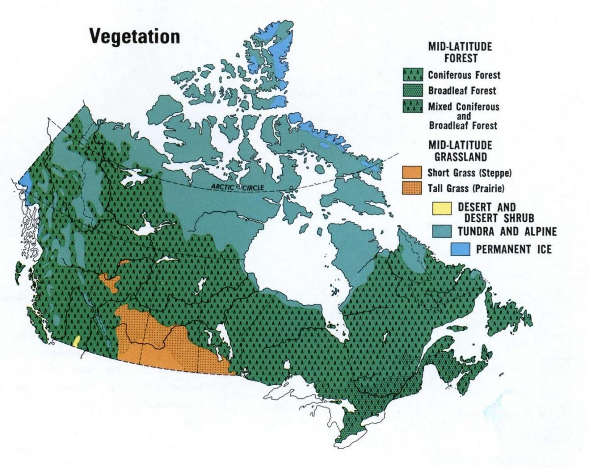 map of Canada vegetation