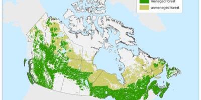 Map of Canada forests